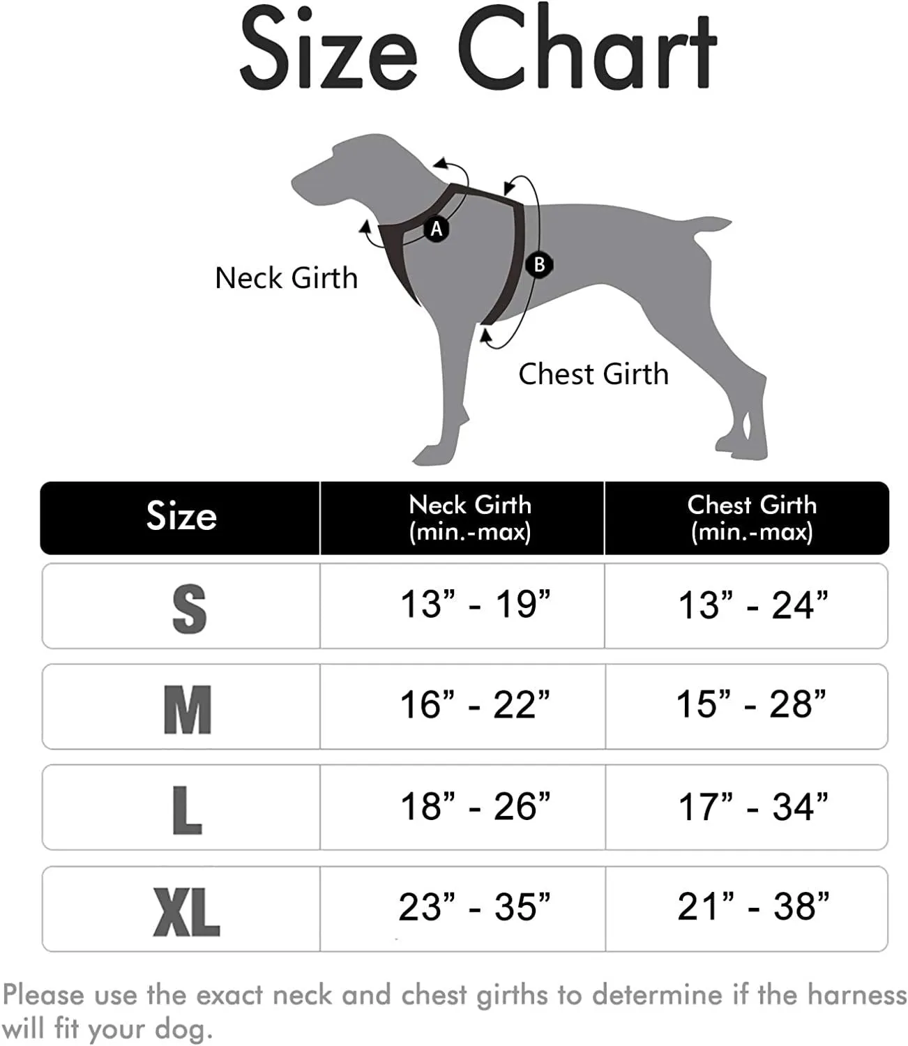 Dog Leash 2 Clip
