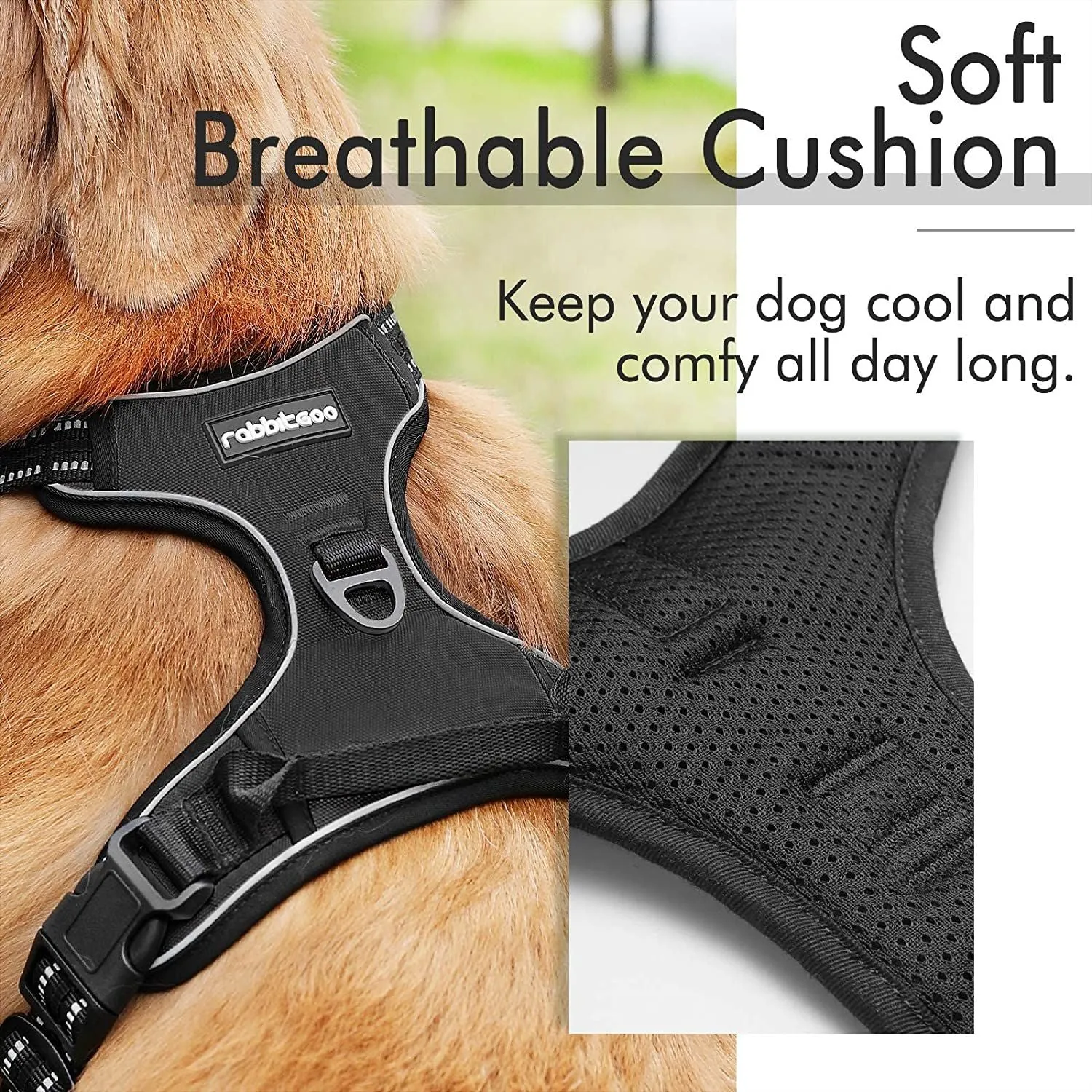 Dog Leash 2 Clip