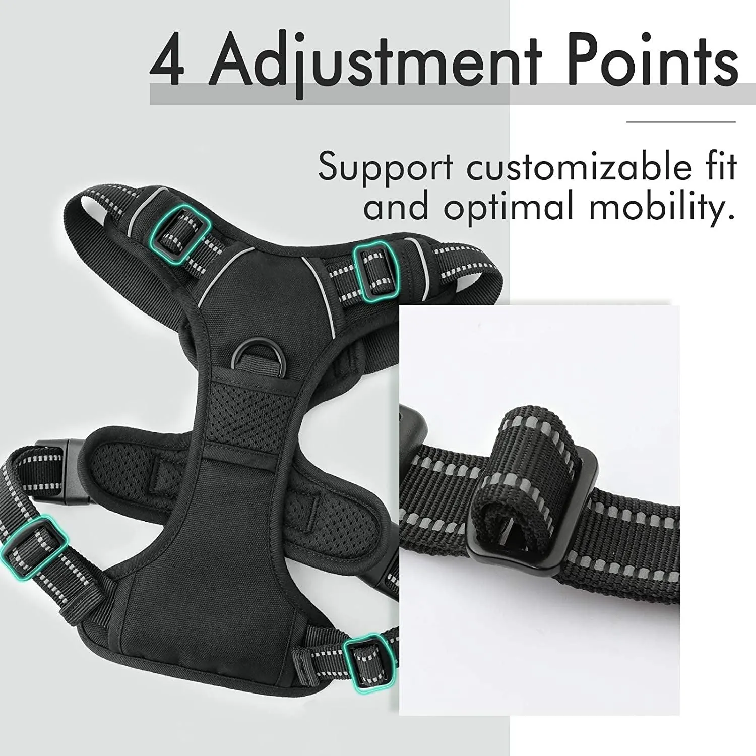 Dog Leash 2 Clip