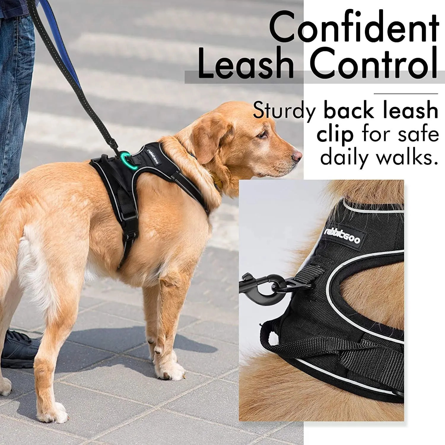 Dog Leash 2 Clip
