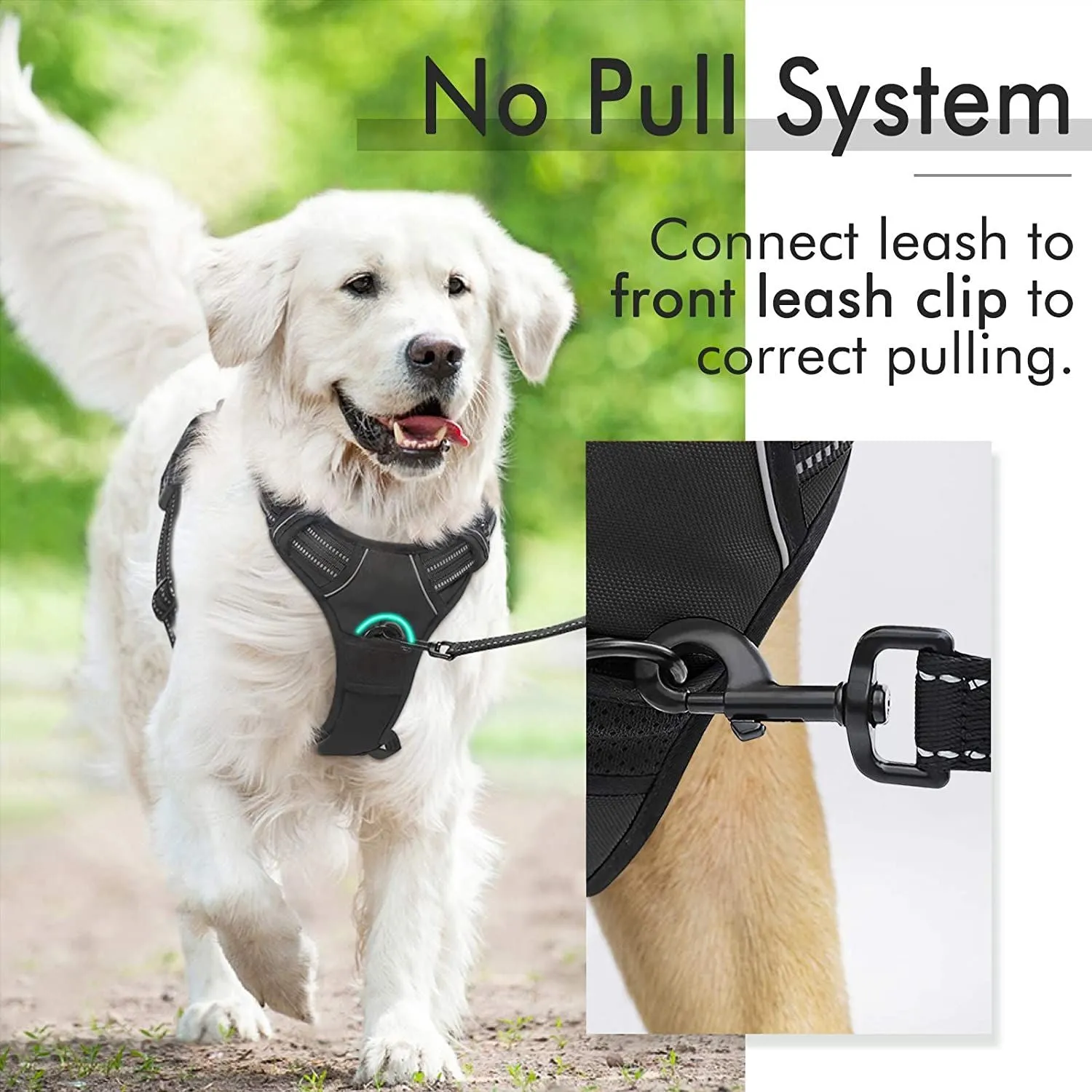 Dog Leash 2 Clip