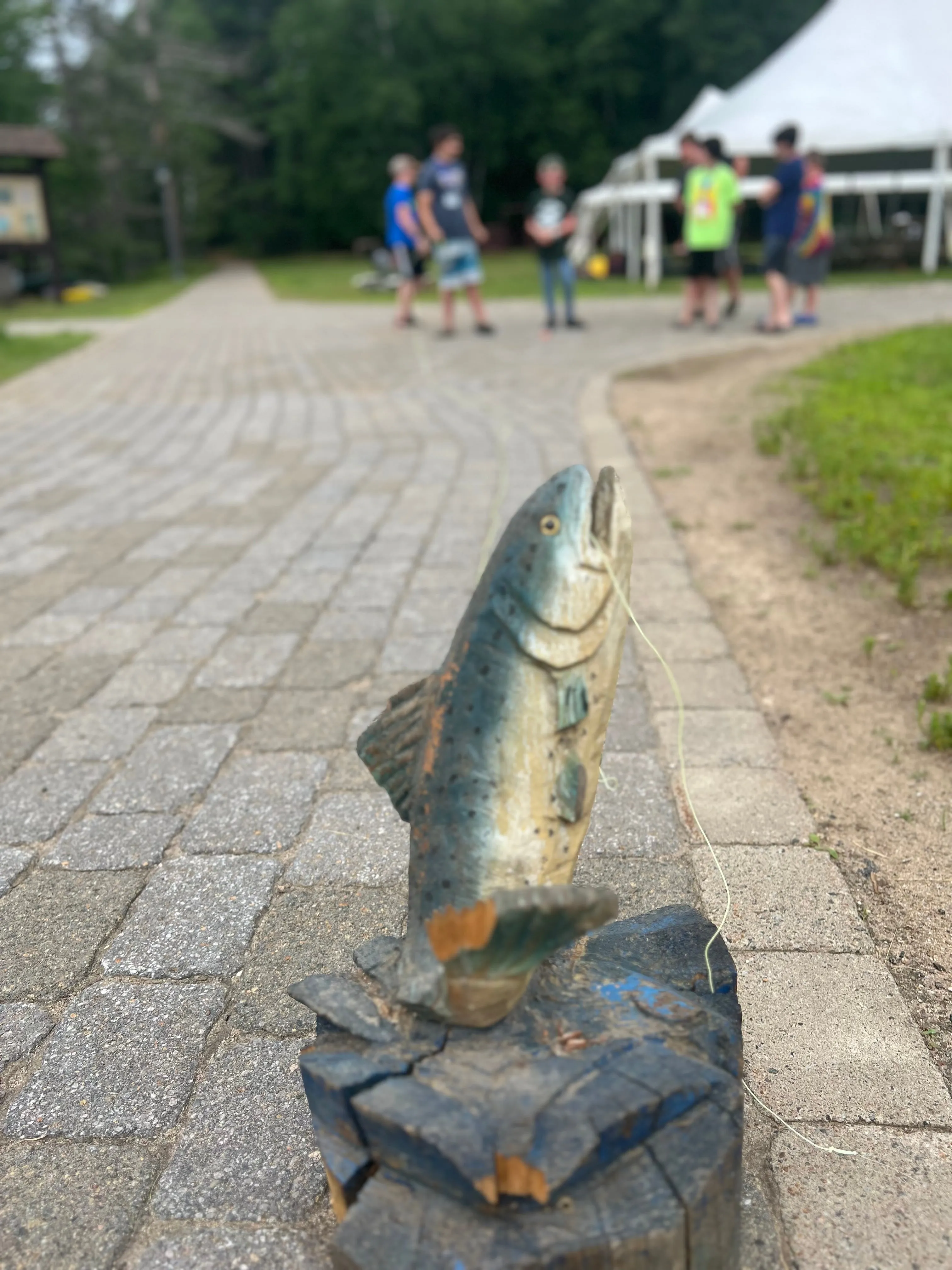 Kids Adventure camp