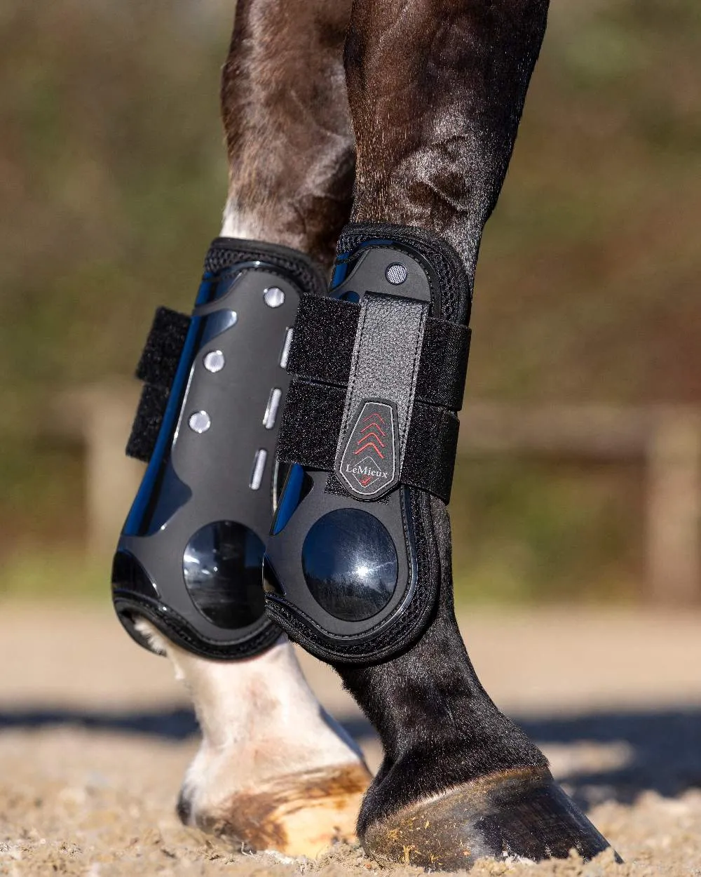 LeMieux Derby ProJump Tendon Boots