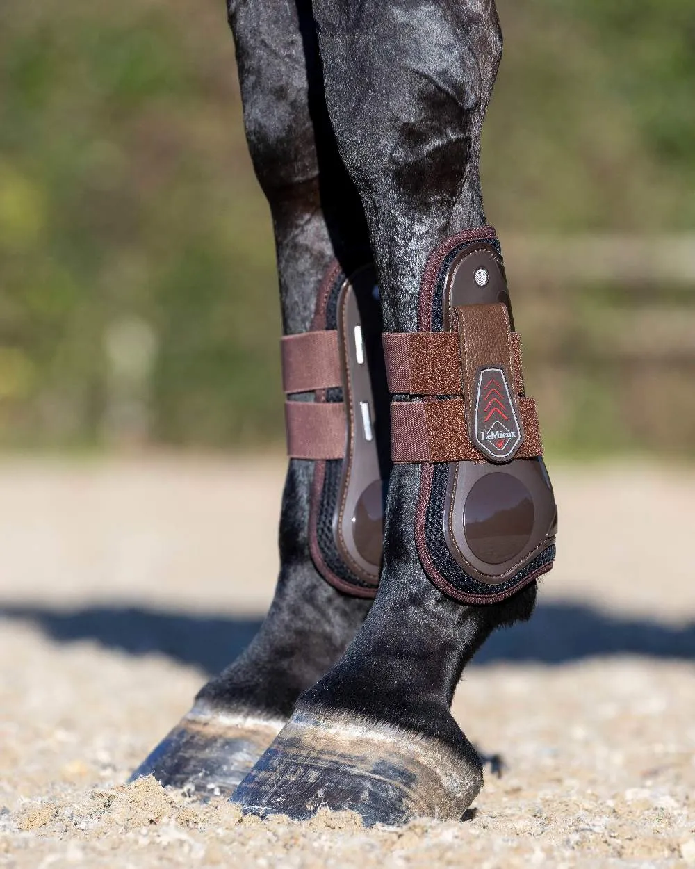 LeMieux Derby ProJump Tendon Boots