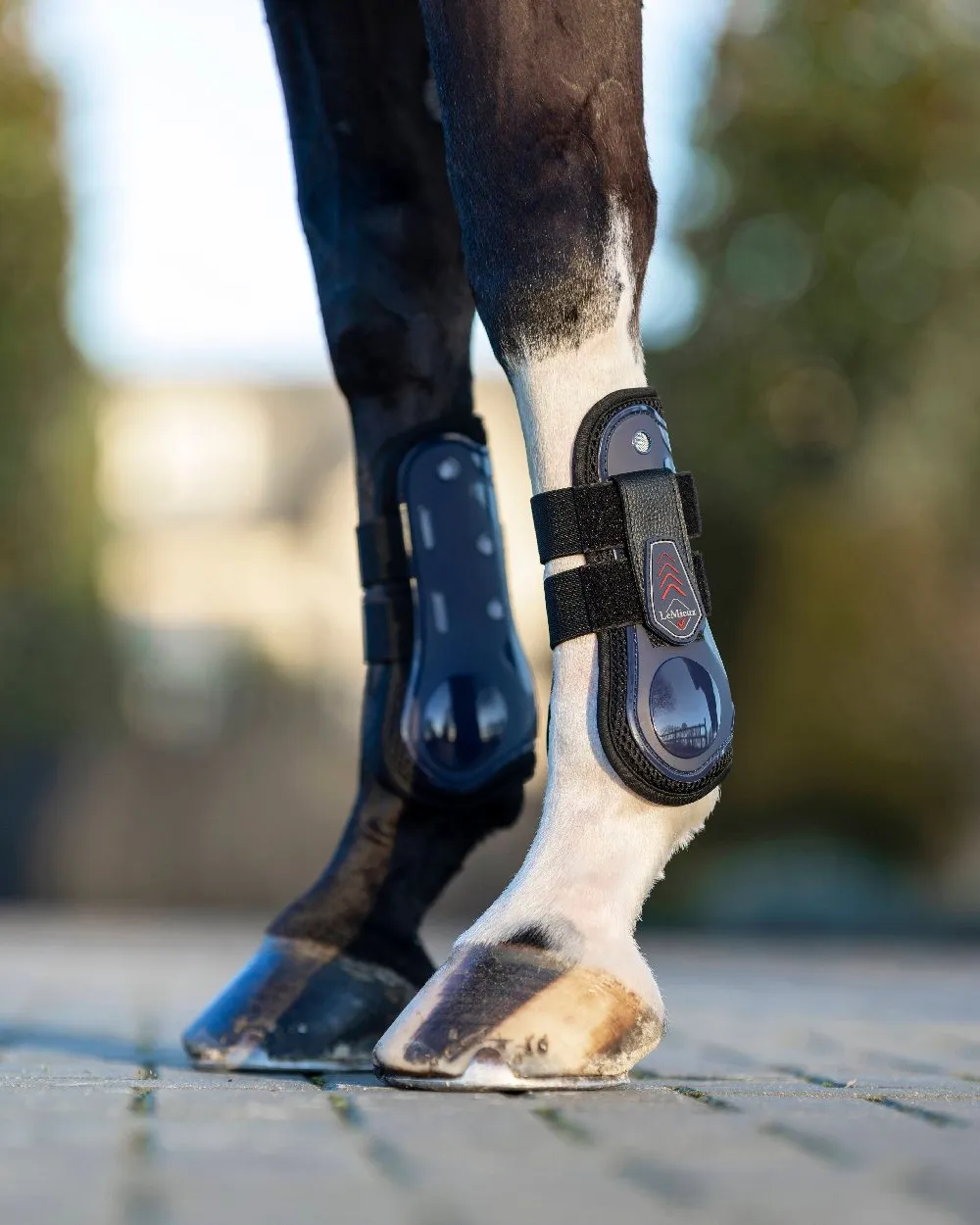 LeMieux Derby ProJump Tendon Boots