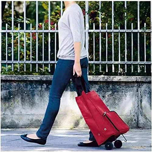 LJYT Shopping Cart Folding Shopping Bag Shopping Cart On Wheels Bag Small Pull Cart Buy Vegetables Bag Shopping Organizer Tug Package Grocery Cart (Color : 02)