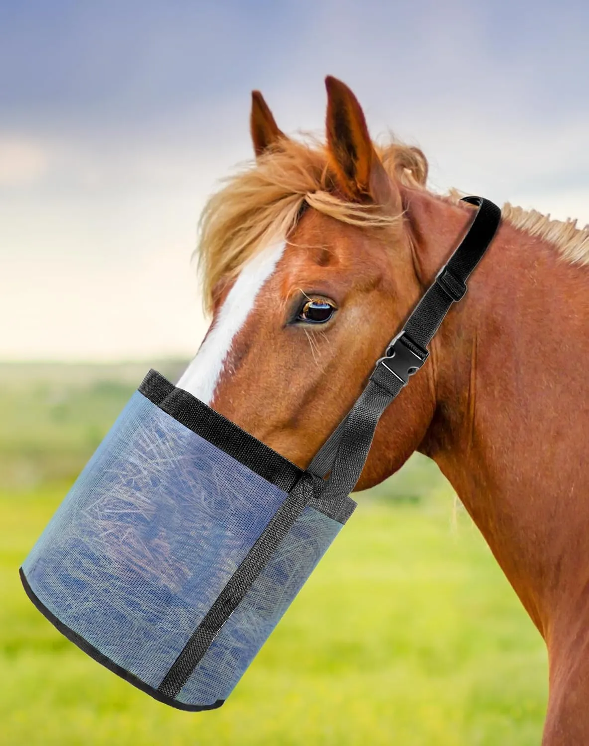 QWORK 2 Pack Horse Feed Bag for Grain - Durable Mesh Grain Feeder with Adjustable Strap, Comfortable Neck and Nose Pad Horse Muzzle Feed Bag, for Feeding Grain, Powder, Supplements, Blue